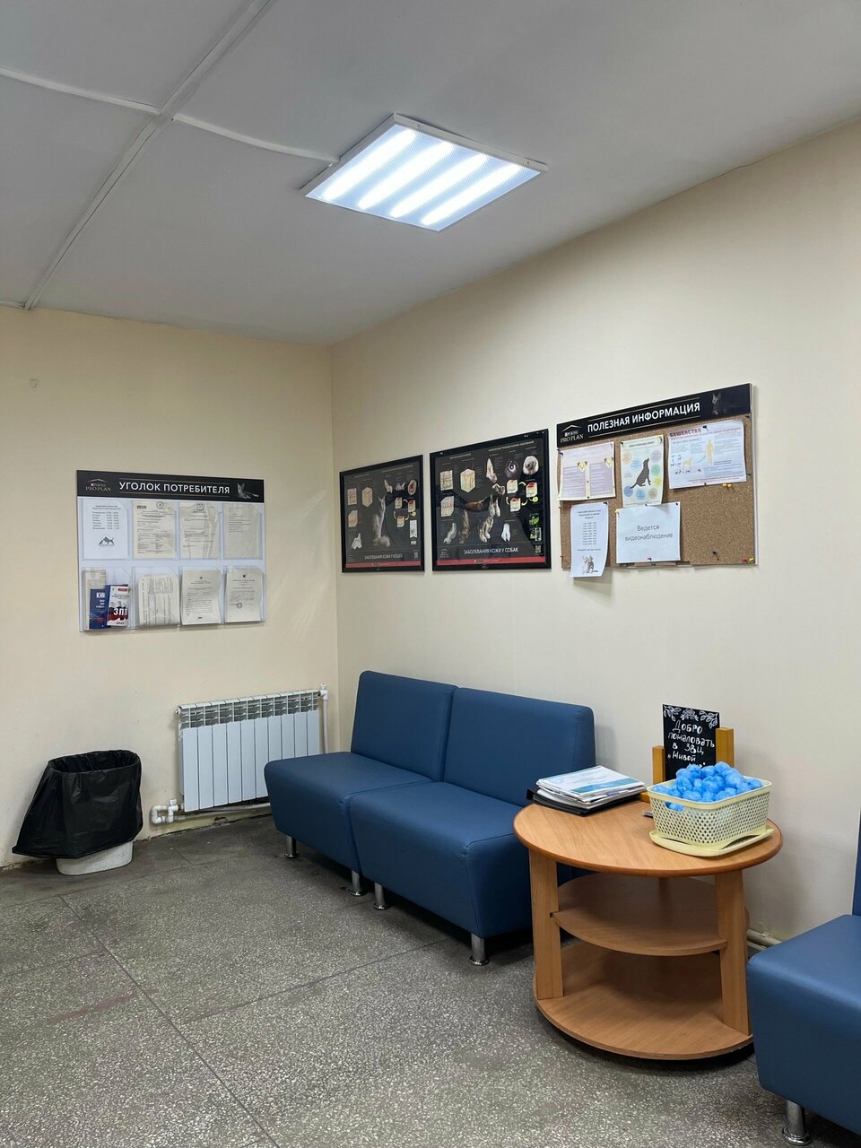 Фото клиники 31625