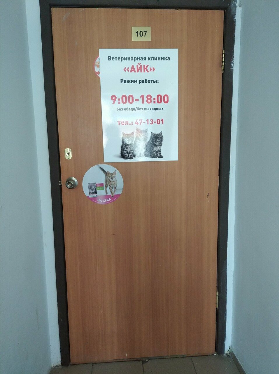 Фото клиники 31455