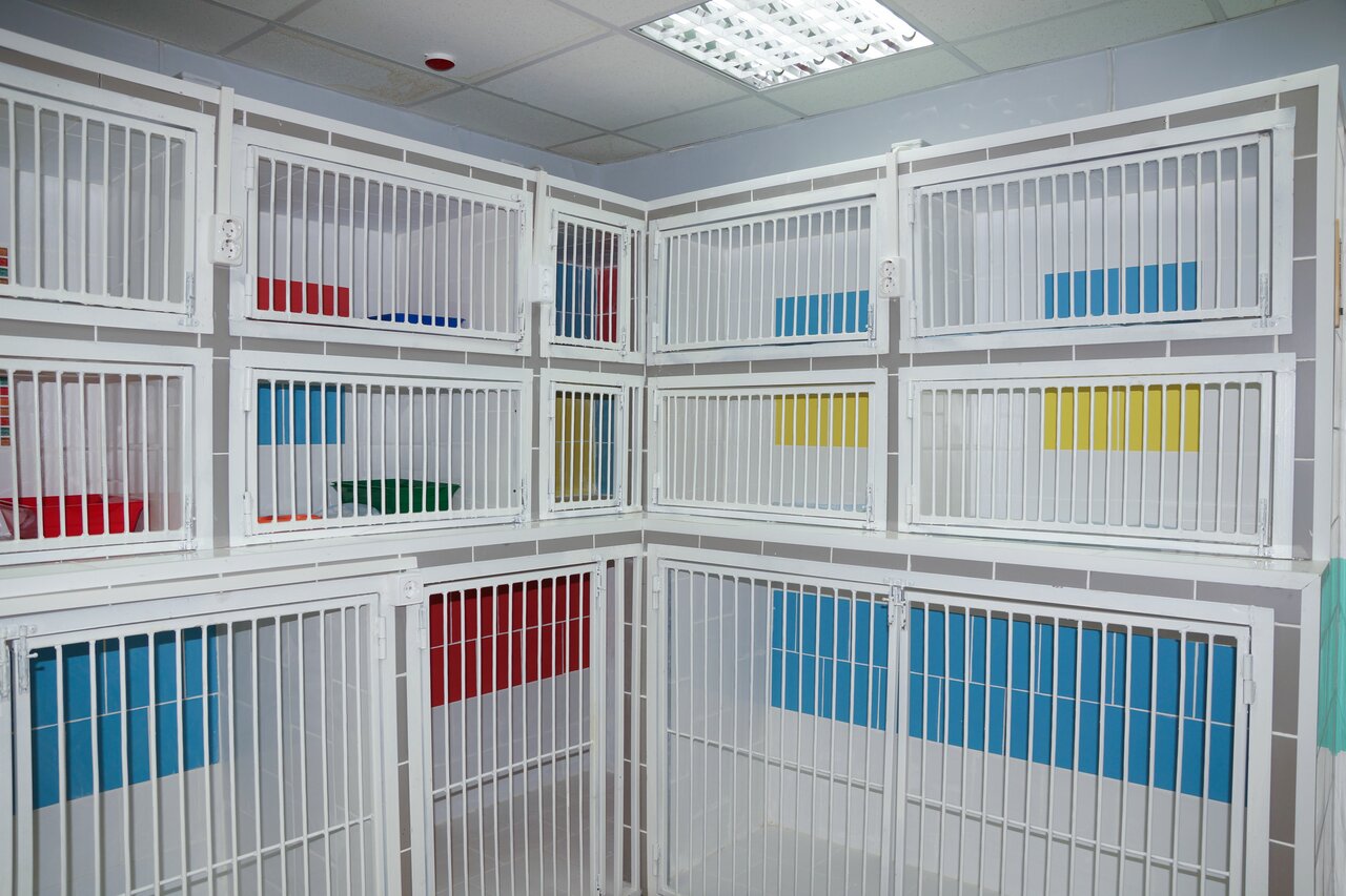 more clinic photos 25562