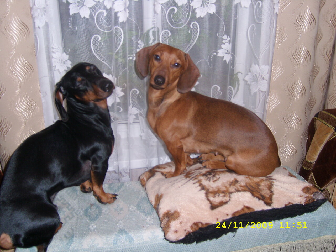 Ветклиника на Садовой