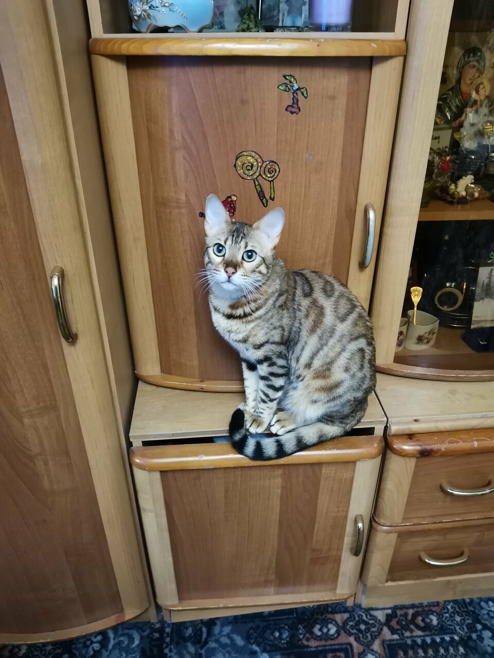 Фото клиники 74385