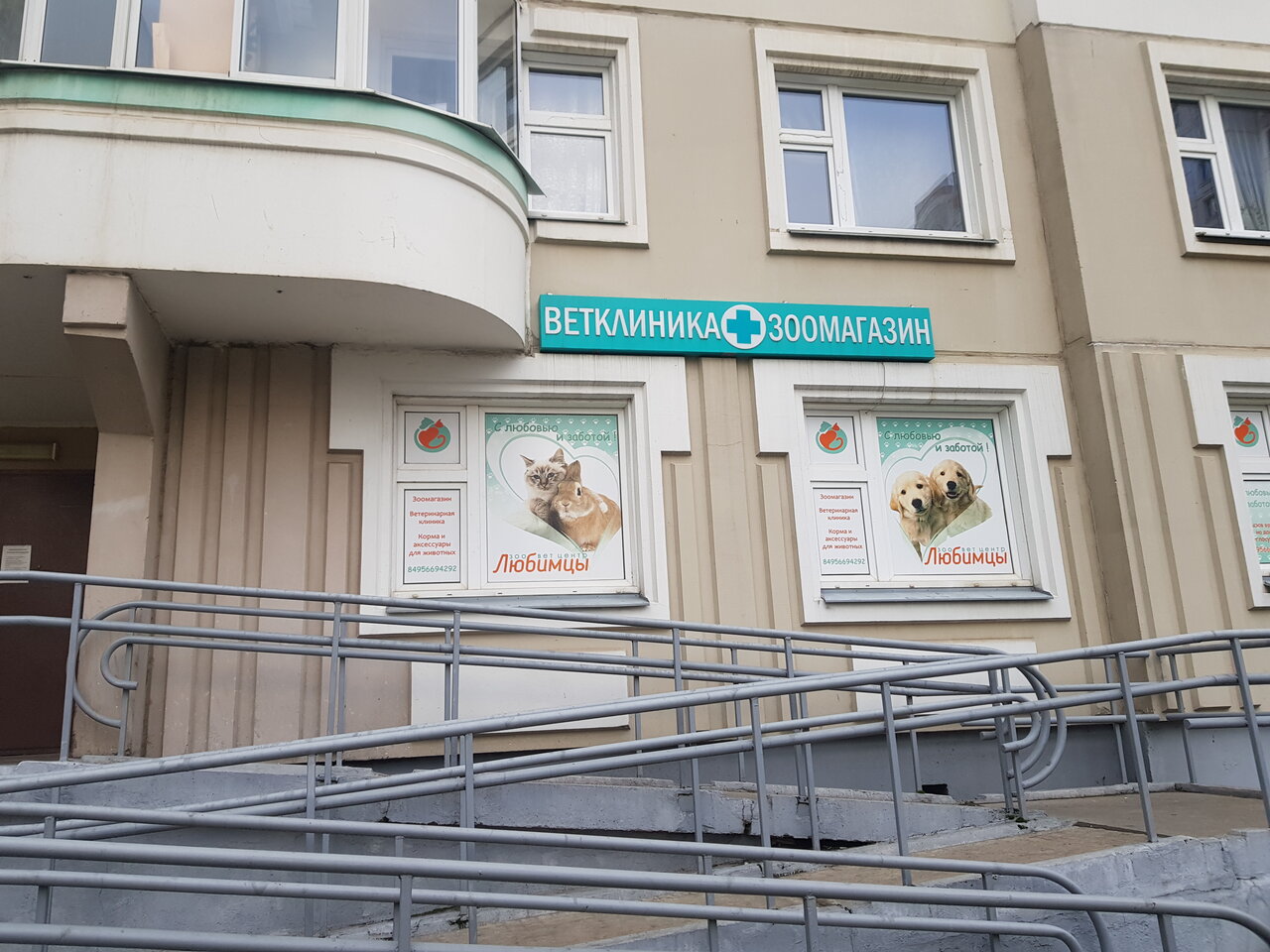 Фото «Любимцы»