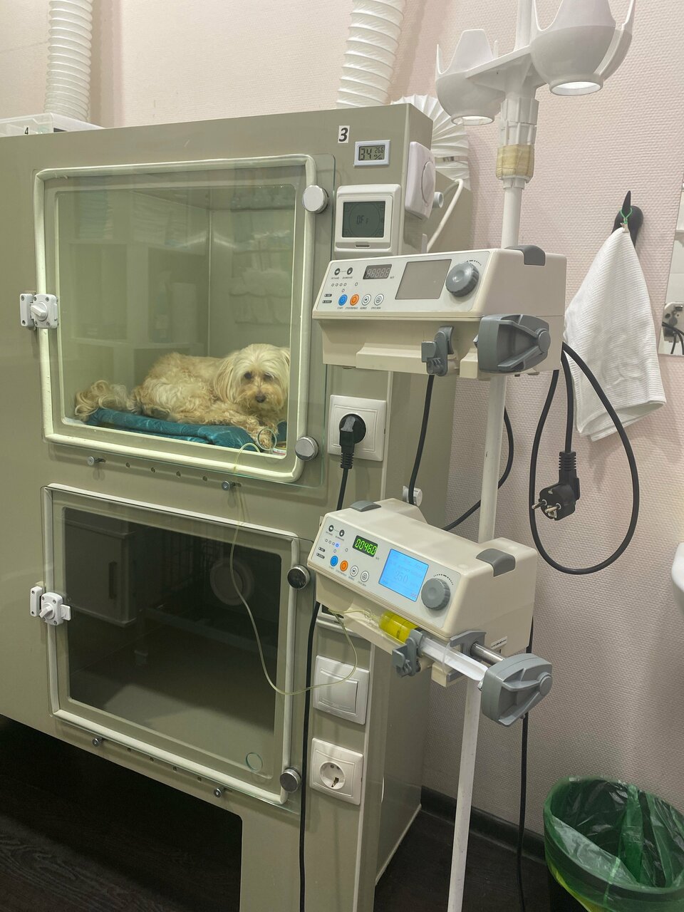 more clinic photos 45601