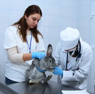 more clinic photos 14814