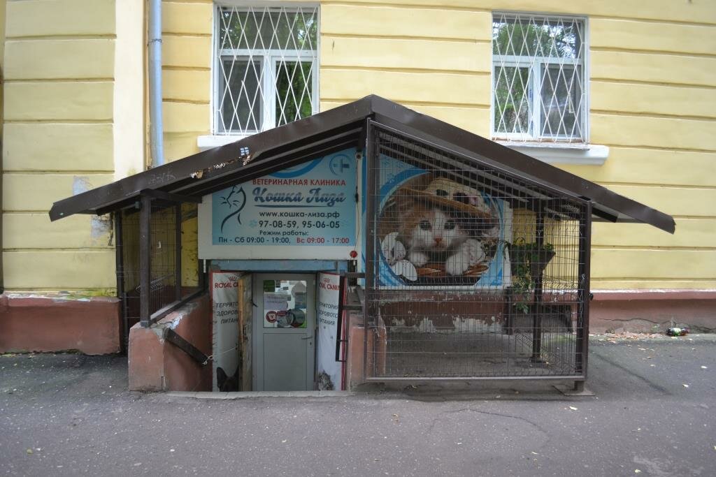 Фото клиники 15926