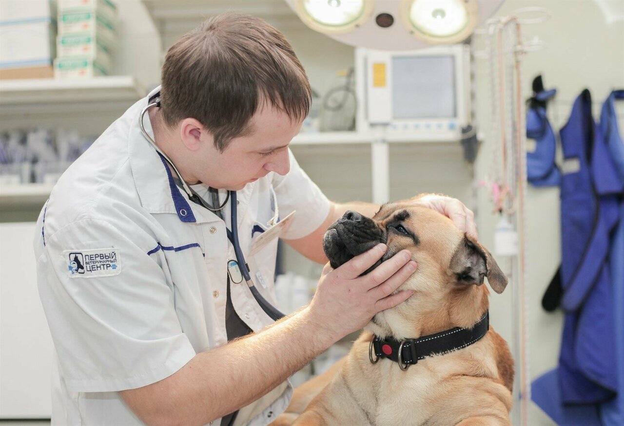 clinic general image