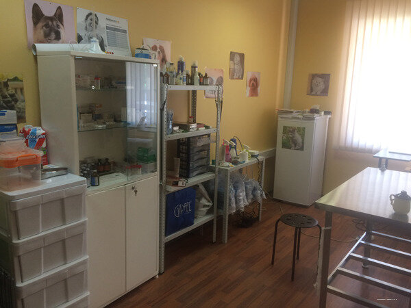 Фото клиники 40438