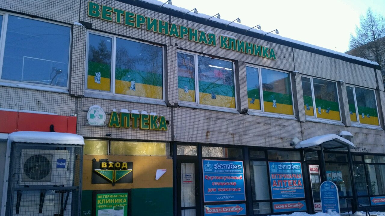 Фото «Верные друзья»