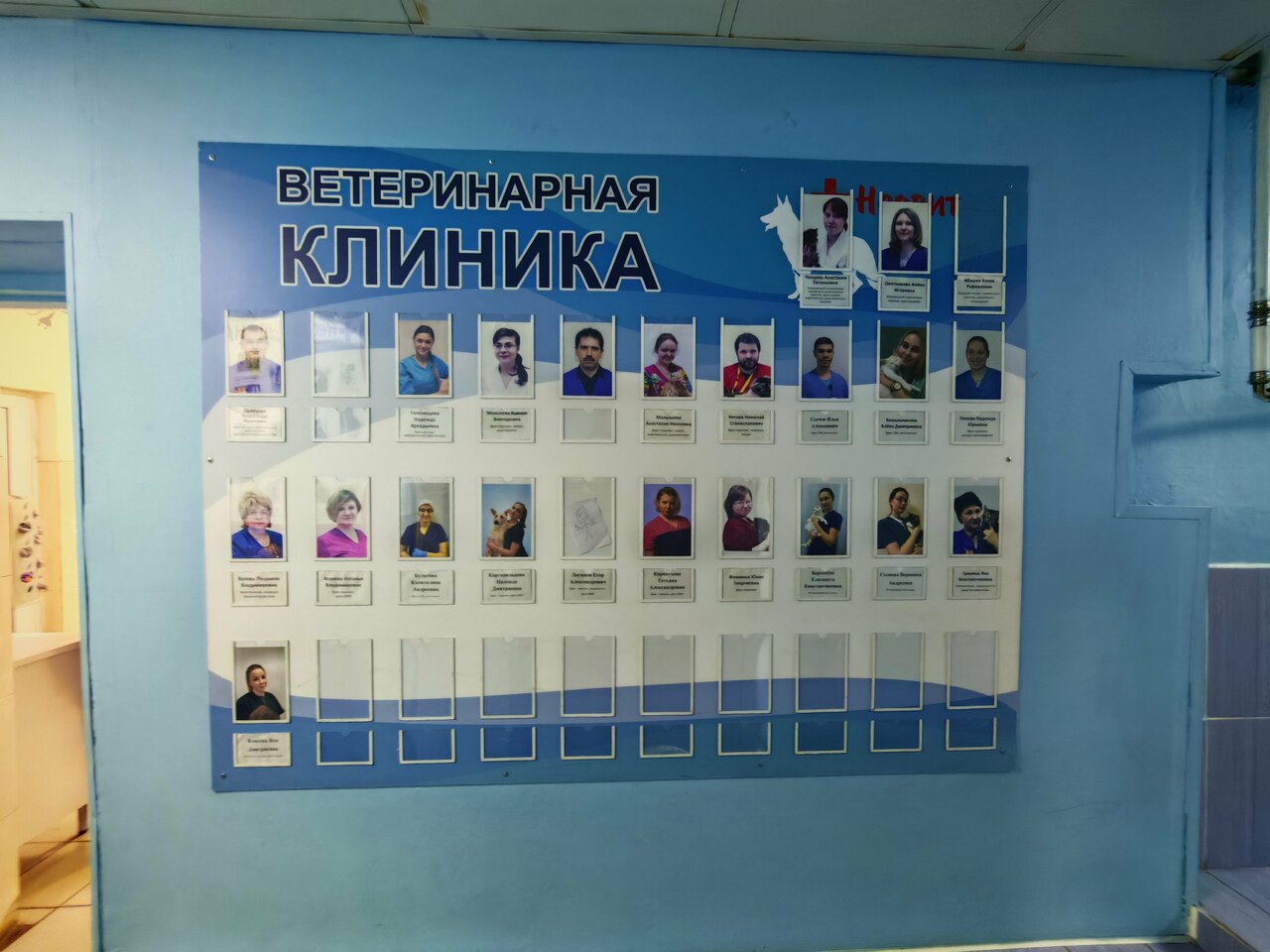 Фото клиники 28503