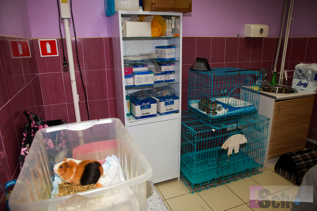 more clinic photos 1114