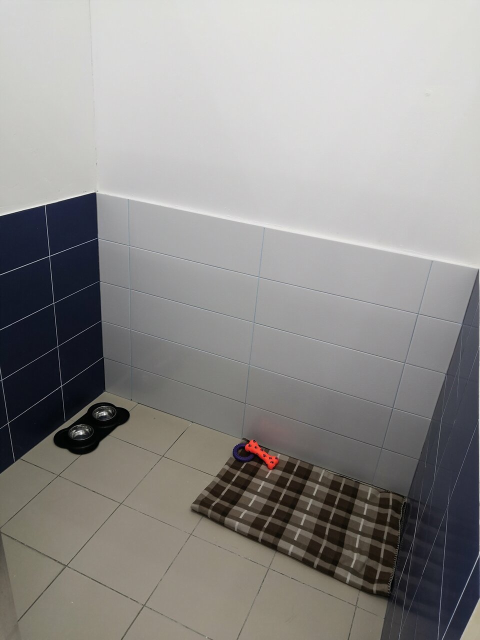 more clinic photos 35659