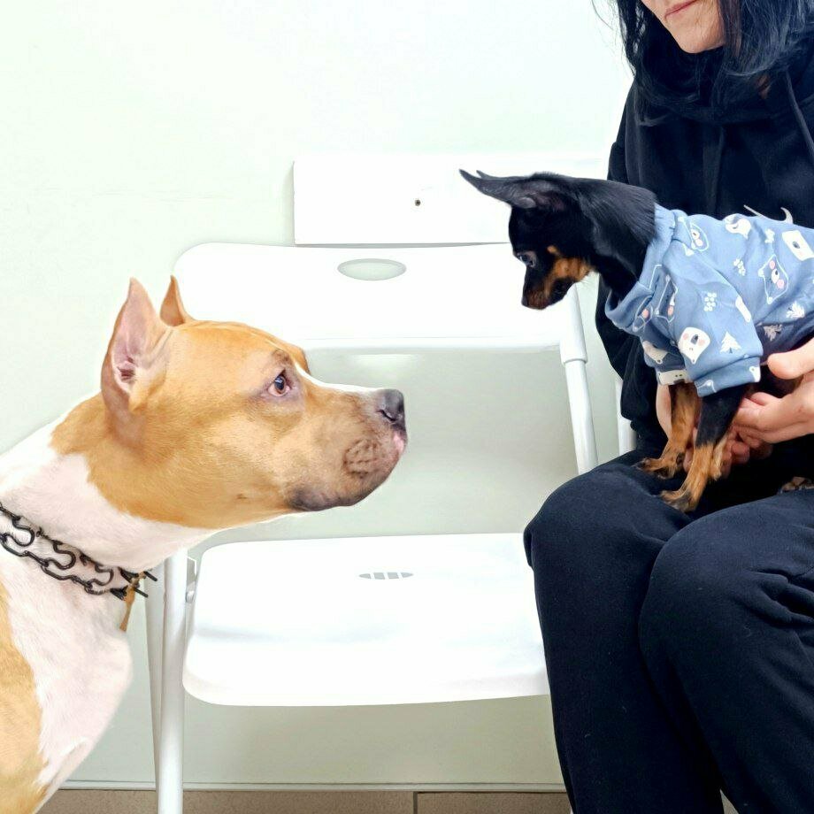 clinic general image