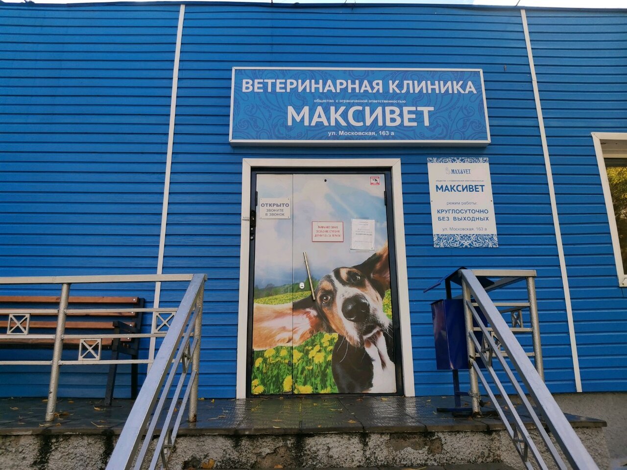 Фото «Максивет»