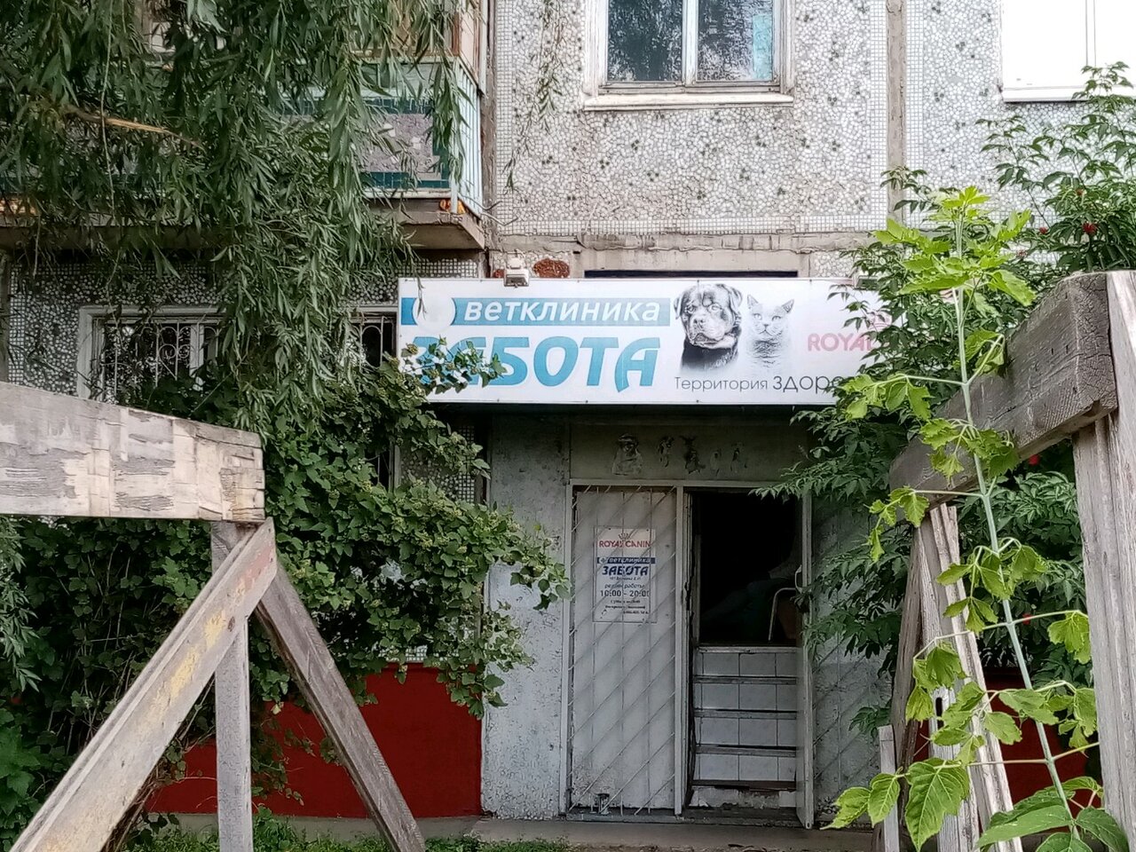 Фото клиники 1144