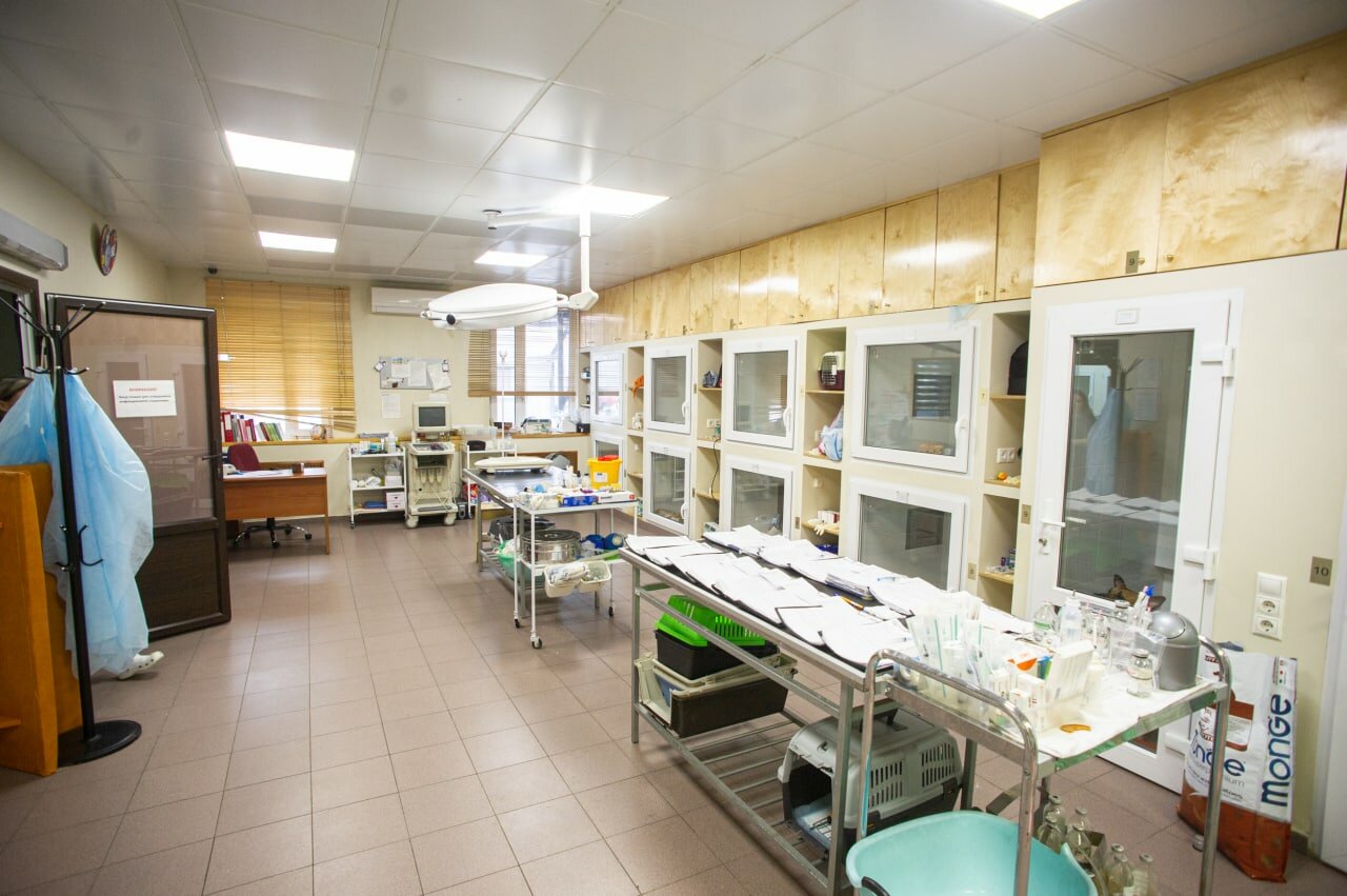 more clinic photos 3492