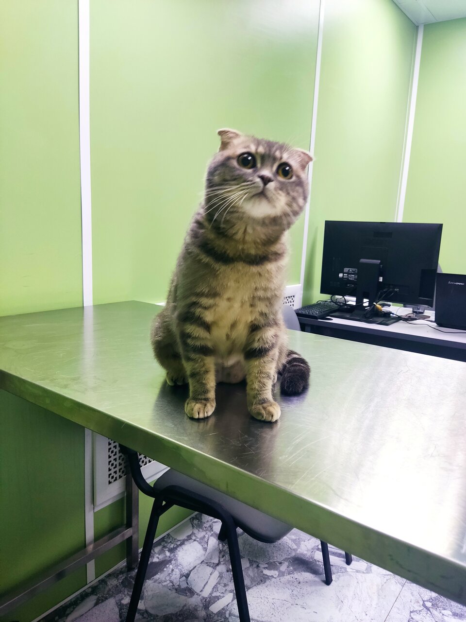 more clinic photos 37488