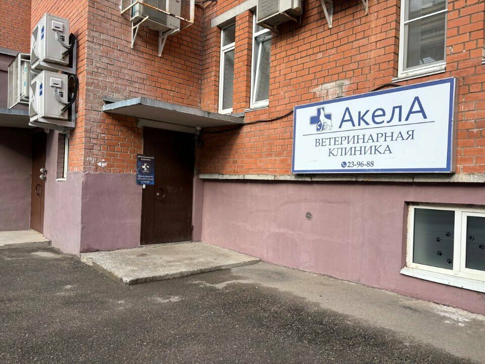 Фото клиники Ветеринарная клиника Акела