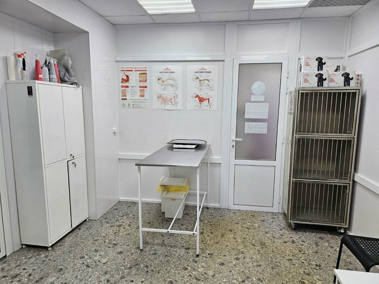 Фото клиники 10054