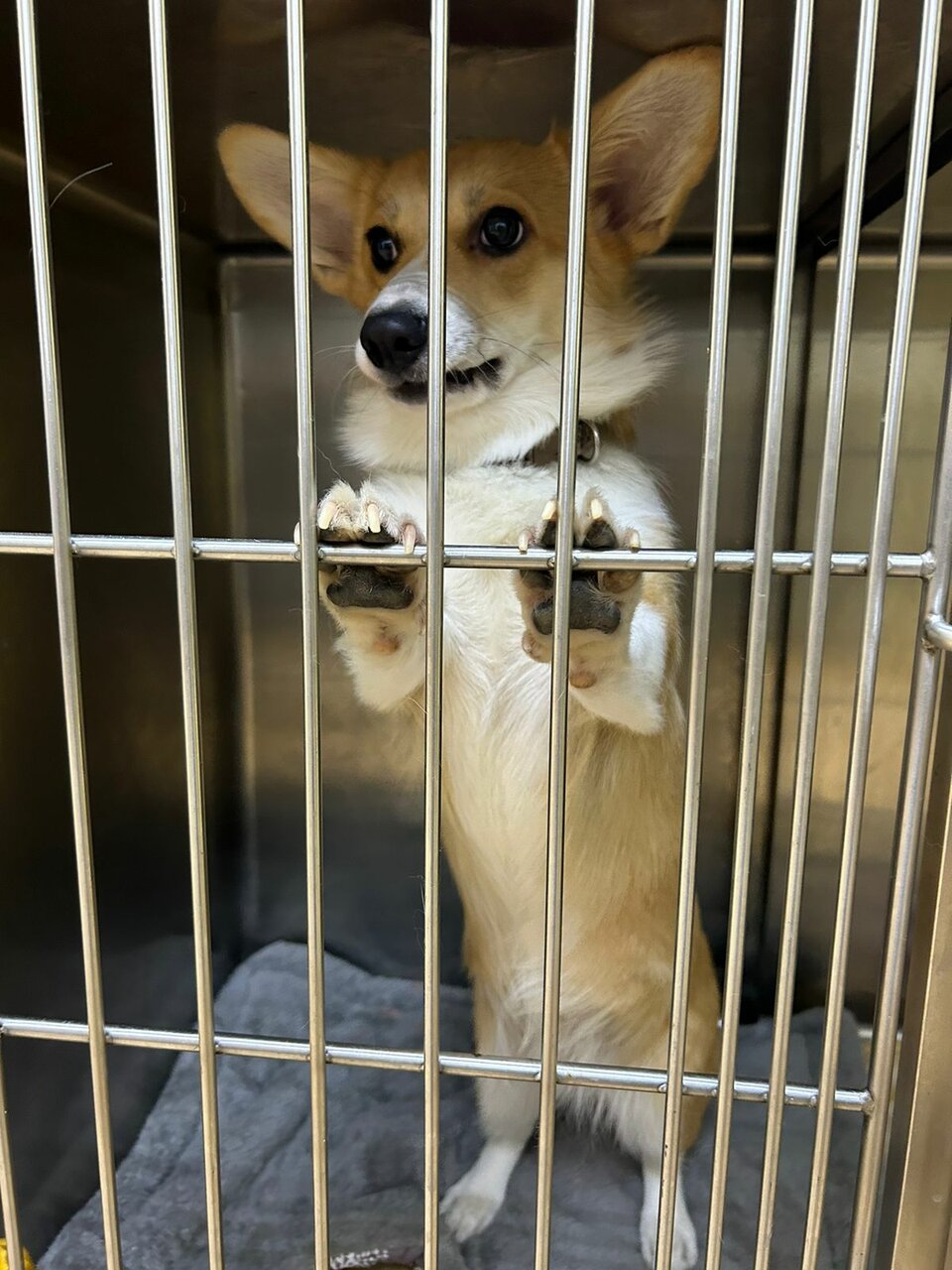 more clinic photos 14826