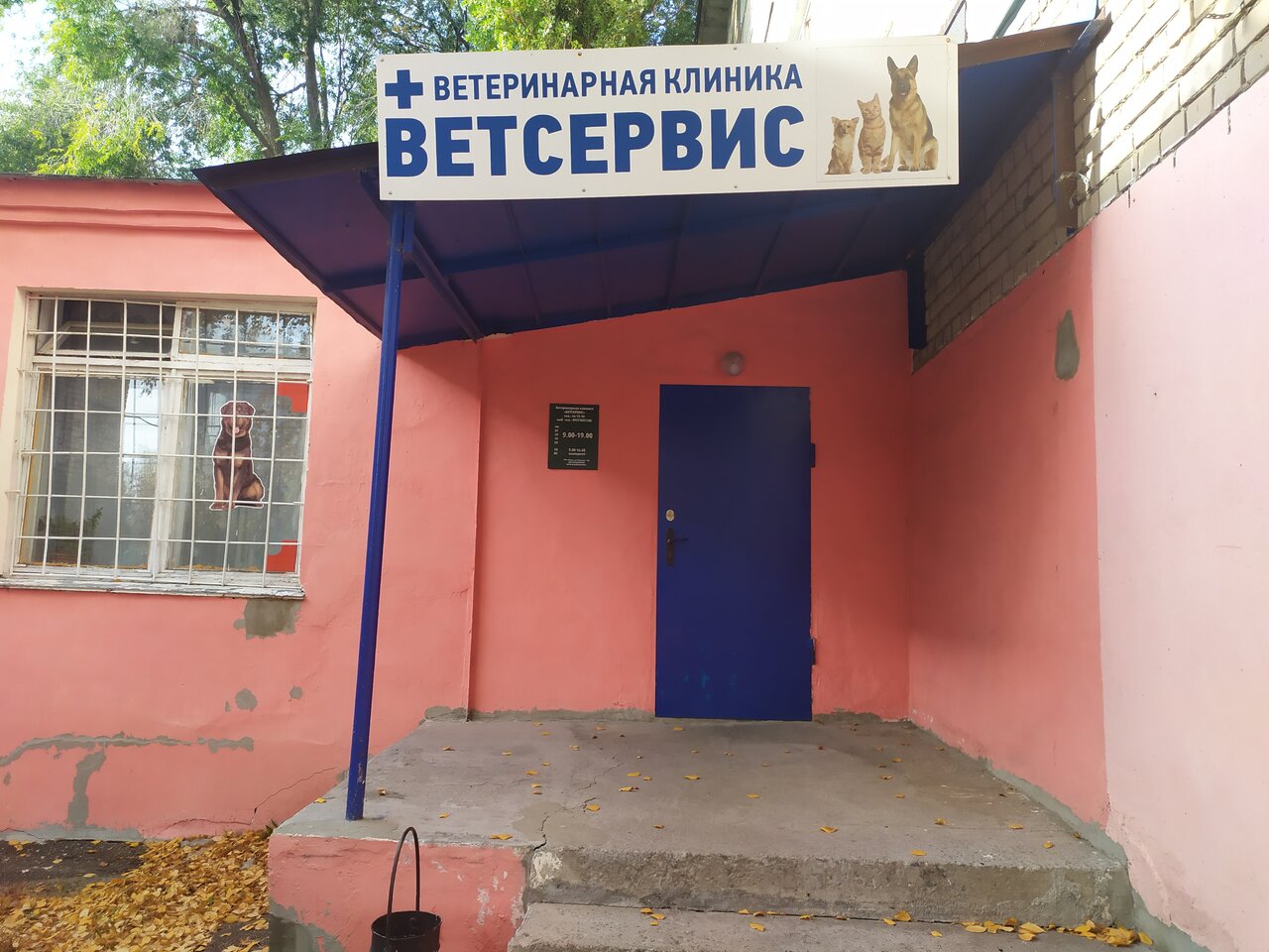 Фото клиники 62257