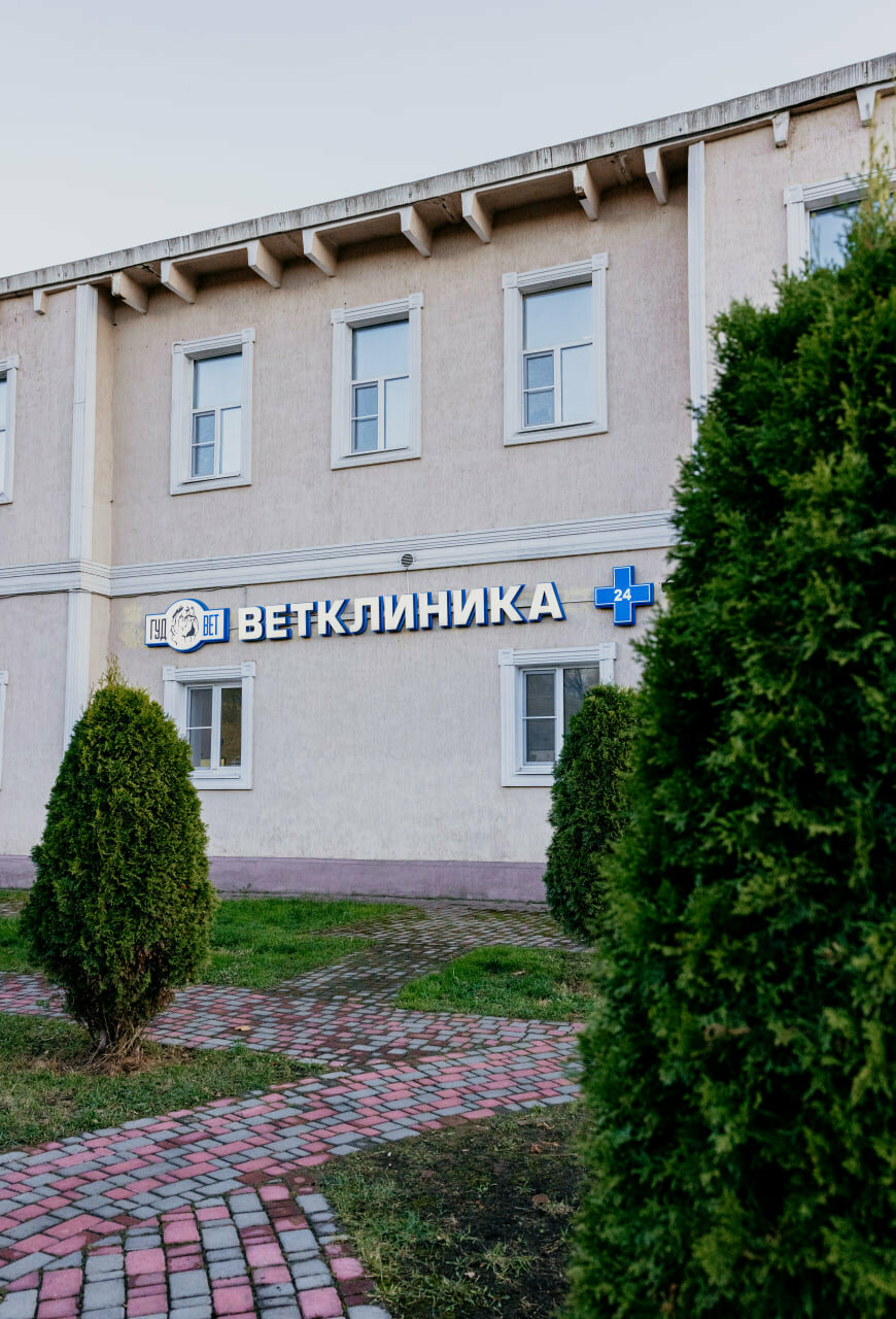 Фото клиники 68397