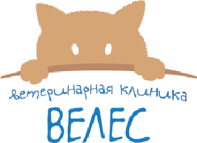 Логотип клиники