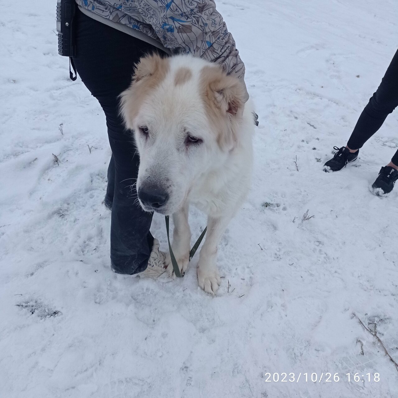 Фото клиники Кольская районная СББЖ