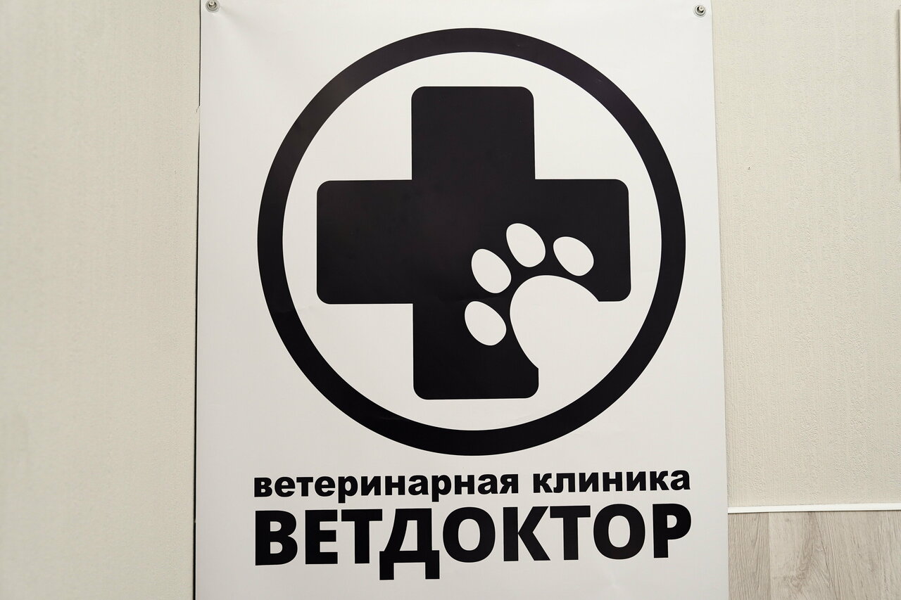 Фото клиники 64463