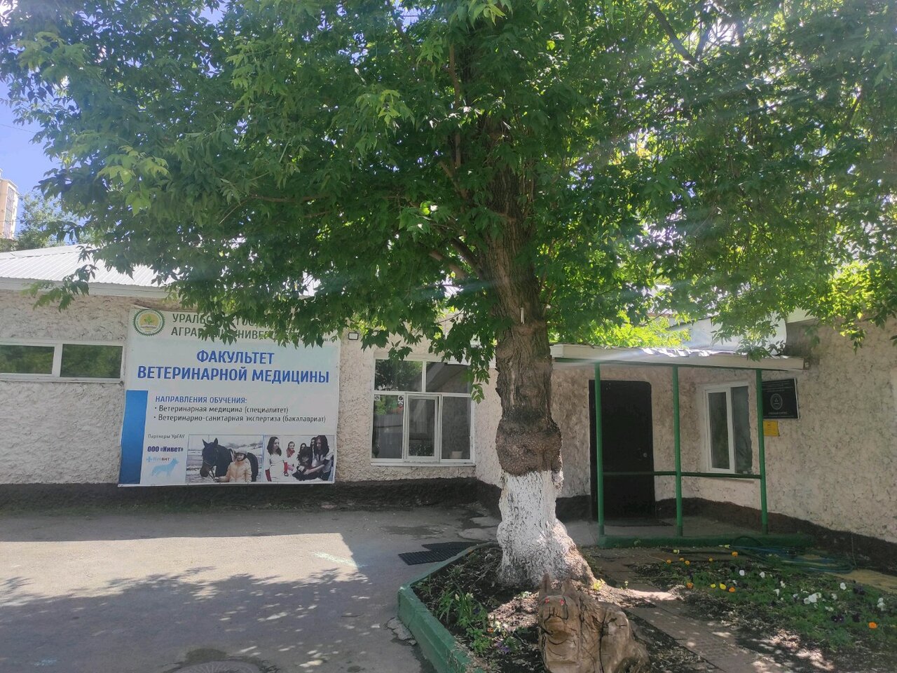 Фото клиники 26286