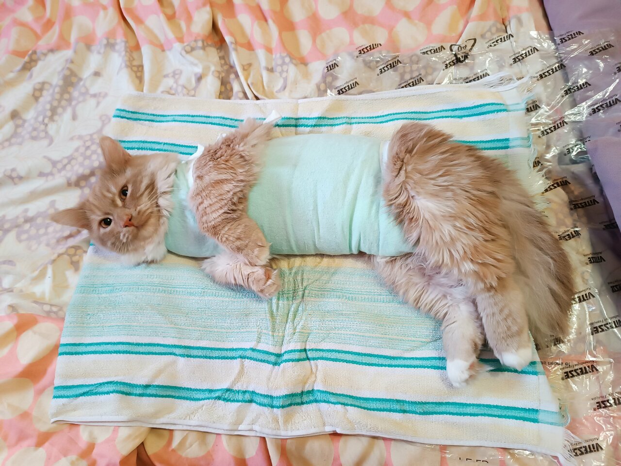 clinic general image