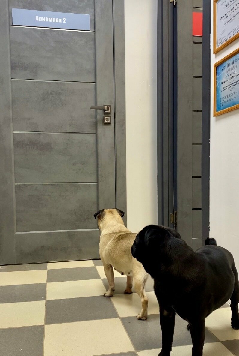 more clinic photos 22073