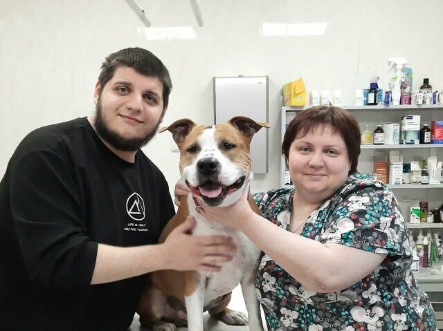 Ветеринарная клиника Айболит