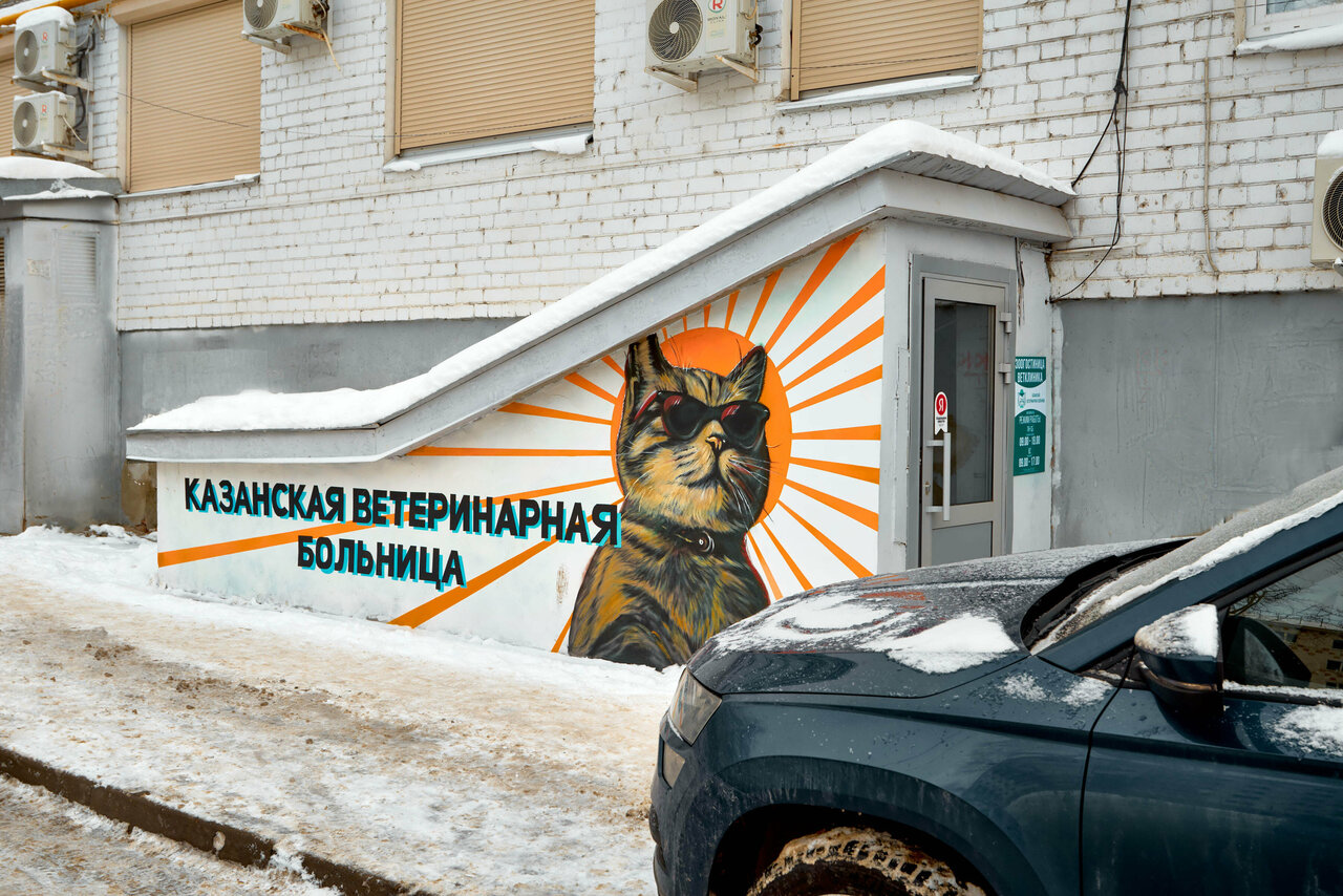 Фото клиники Казанская ветеринарная больница