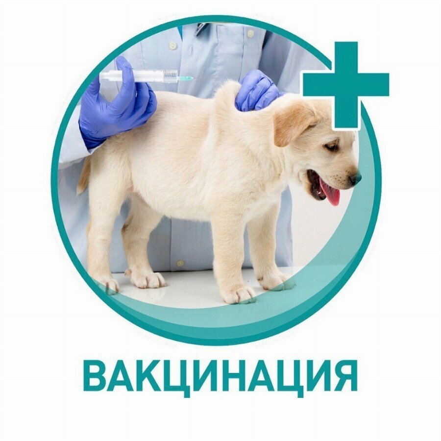 Ветеринарный кабинет