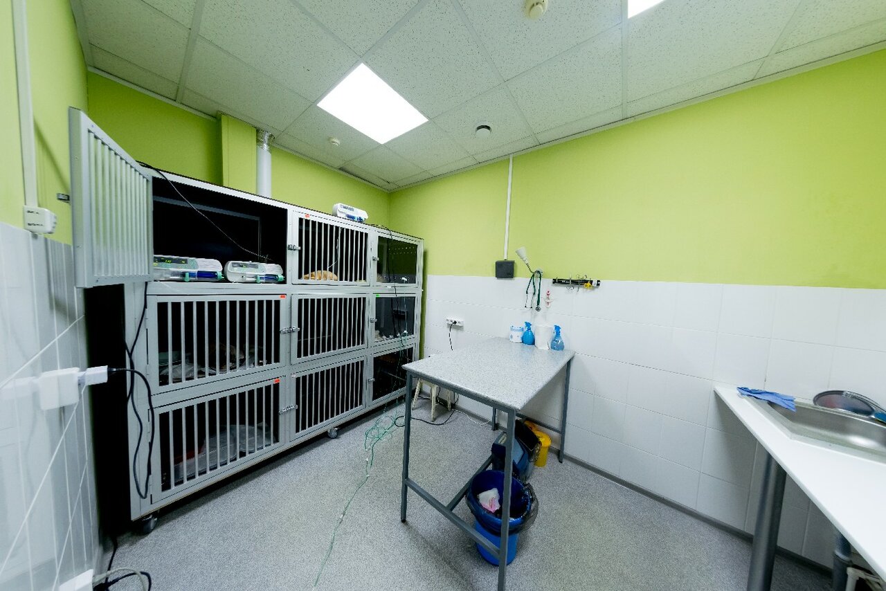 more clinic photos 65177