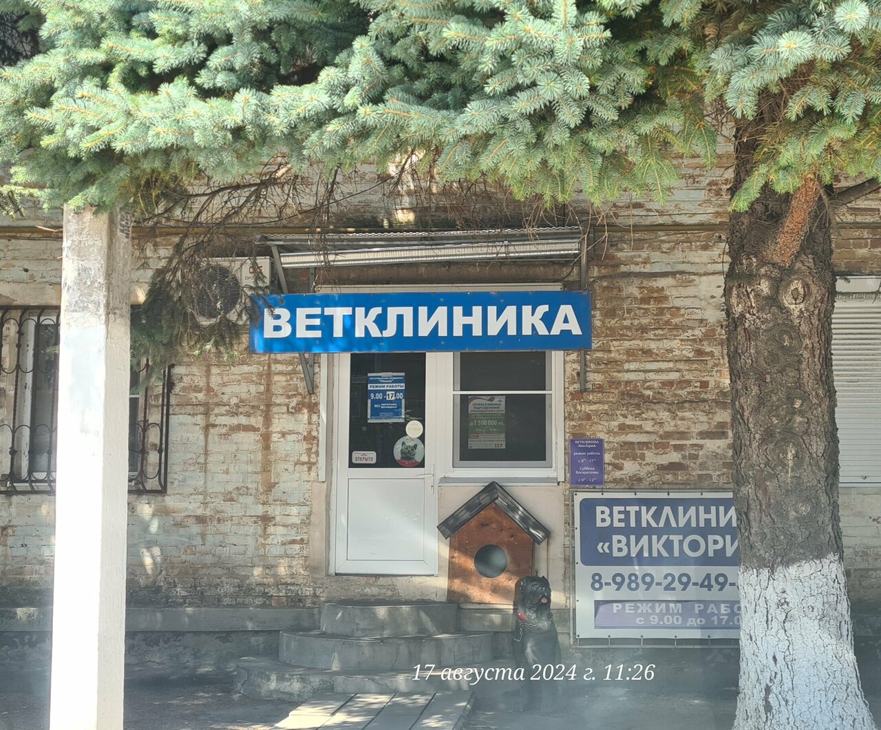 Фото клиники Виктория