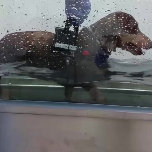 clinic general image