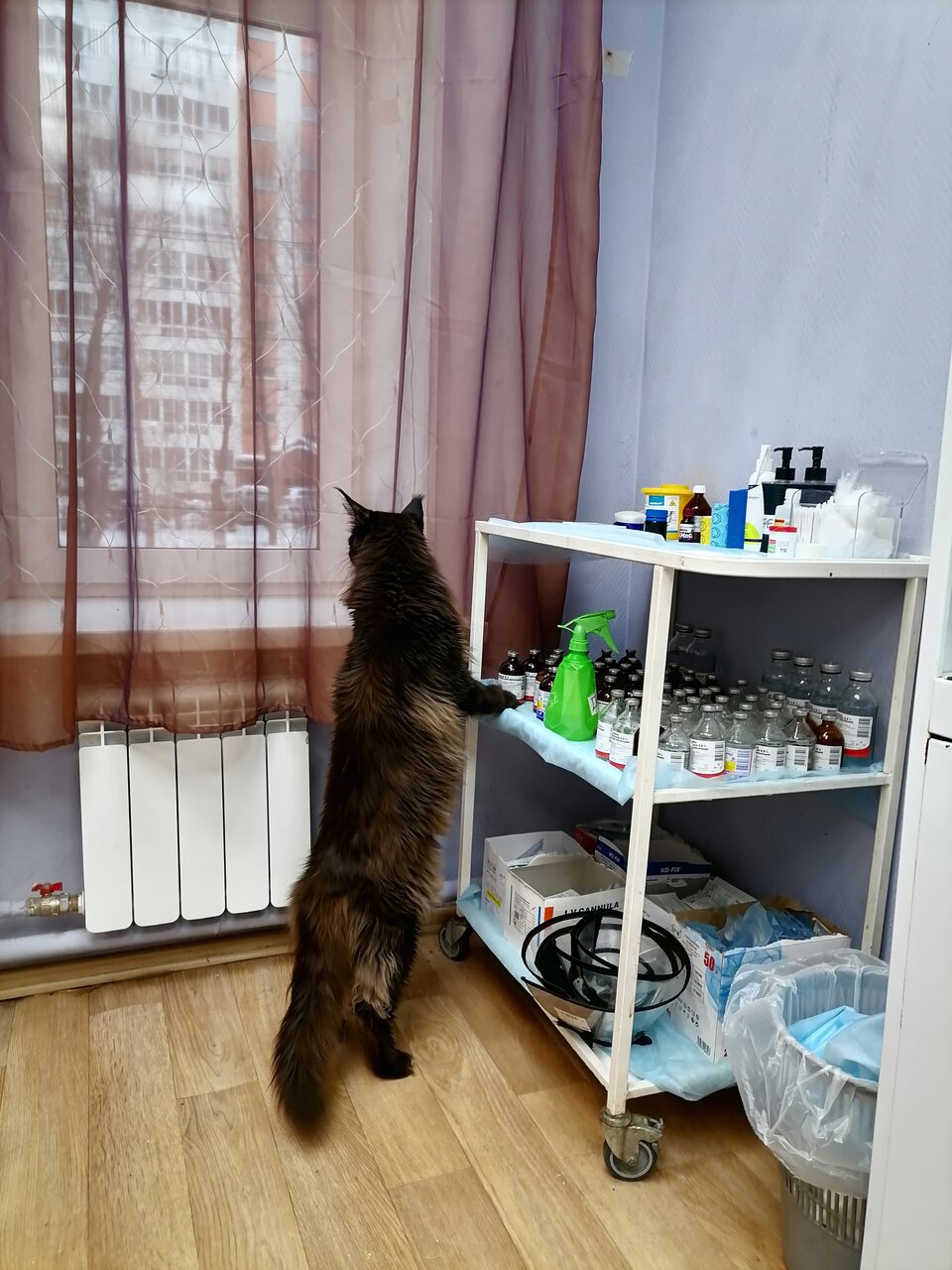 Фото клиники 85620
