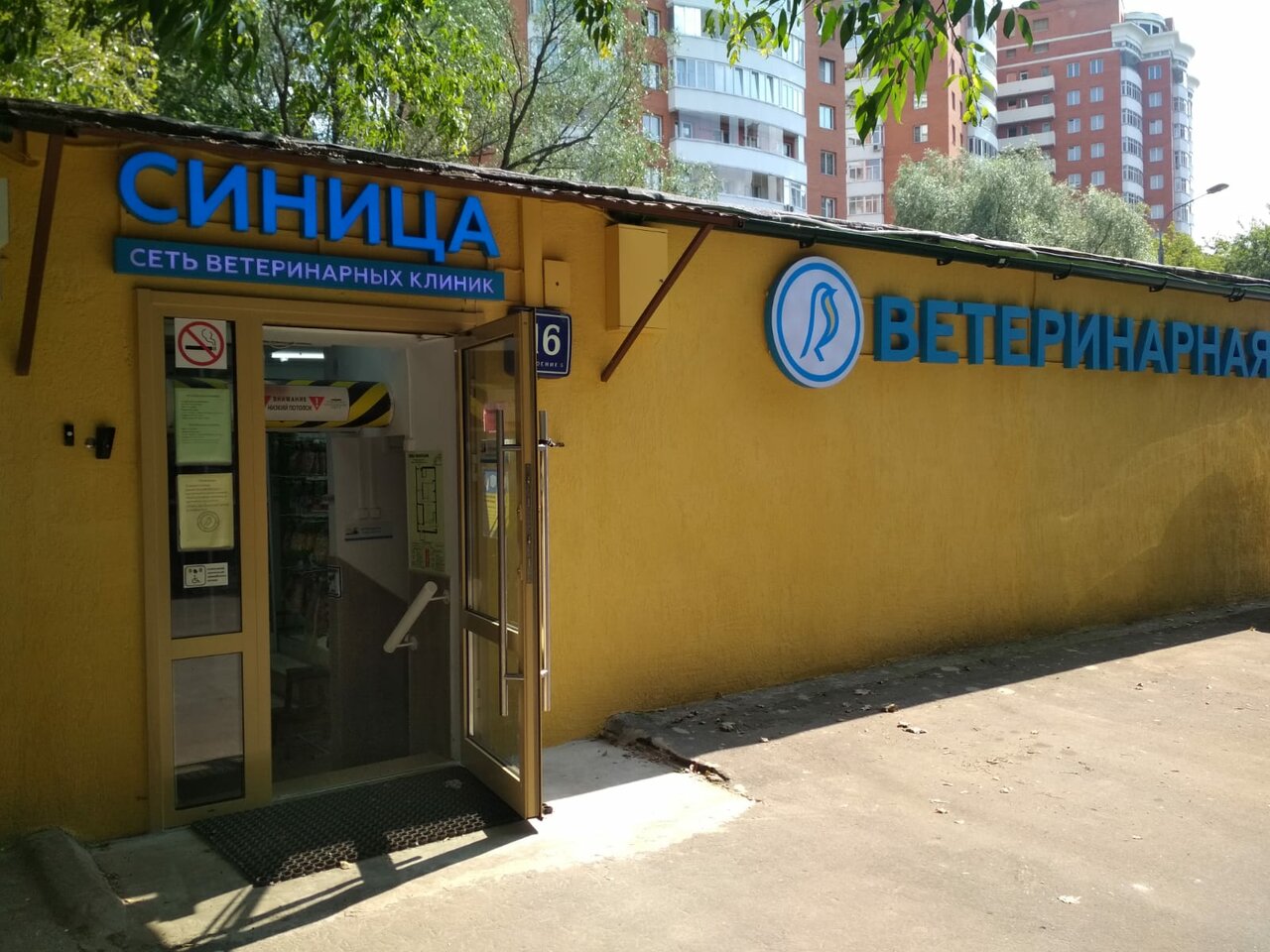 Фото «Синица»