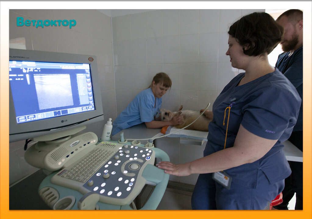 more clinic photos 38812