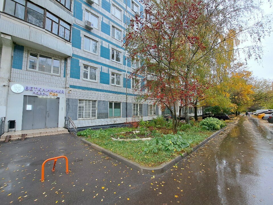 Фото клиники 77477