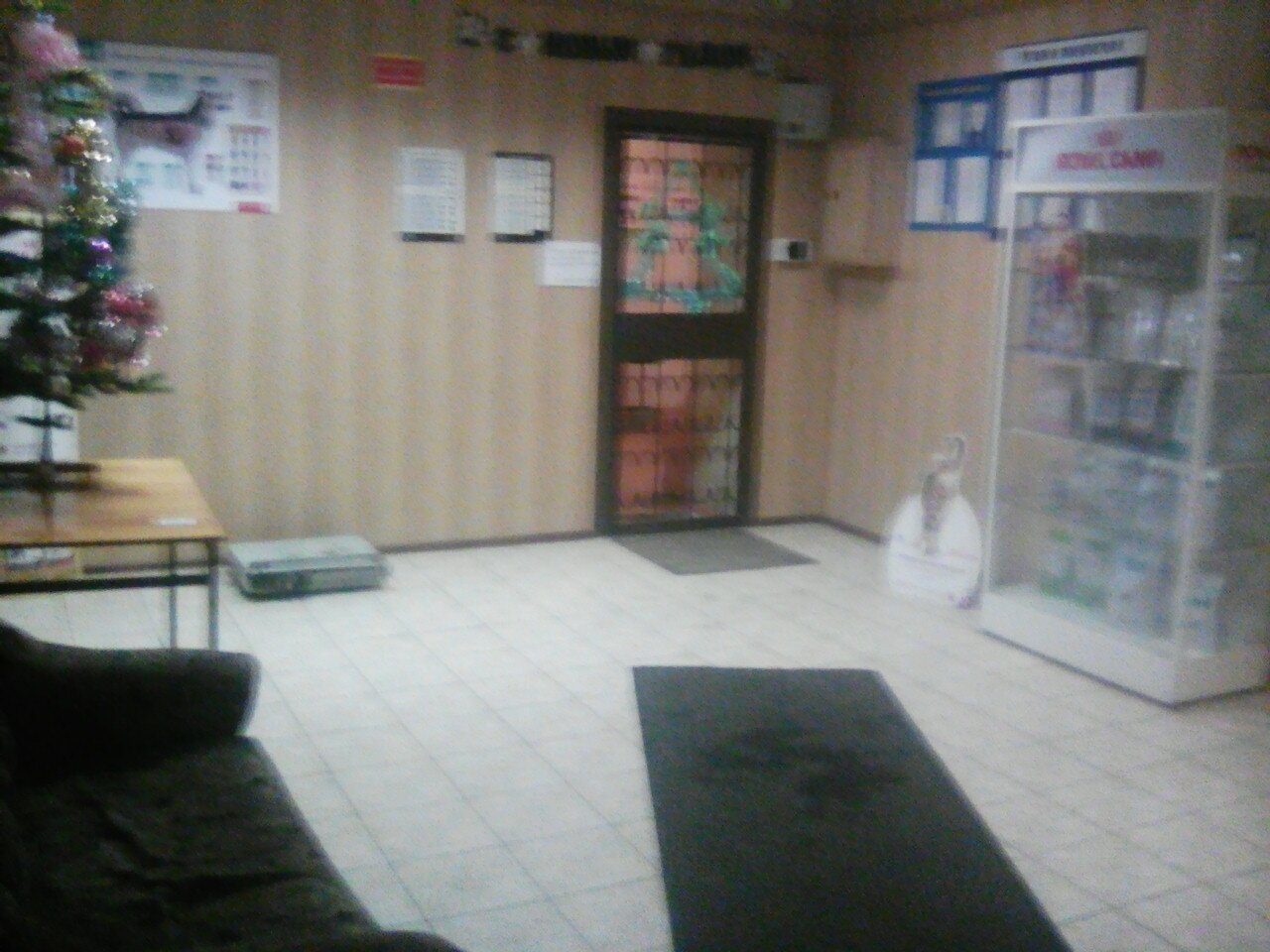 Фото клиники 57504