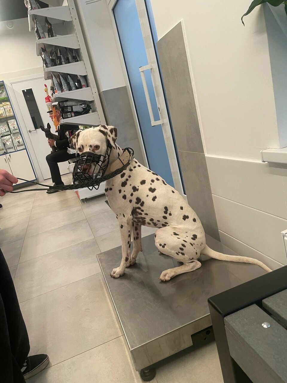 more clinic photos 38711