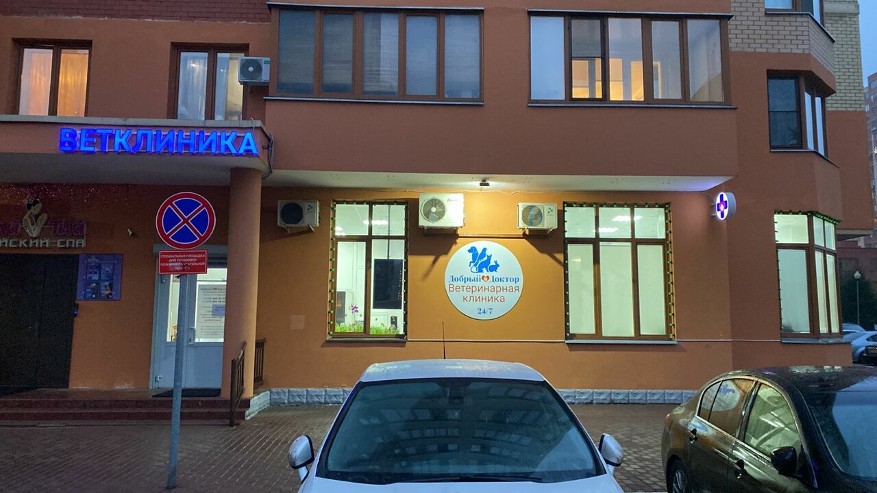 Добрый доктор