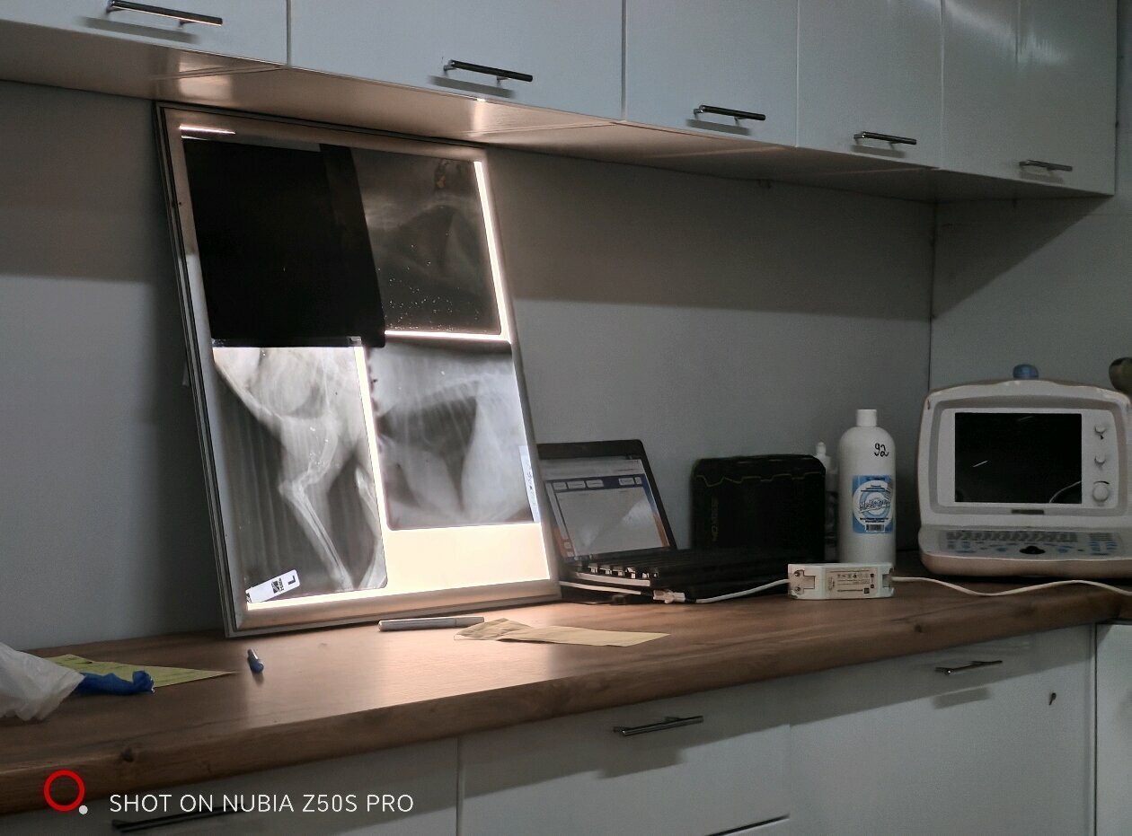 clinic general image