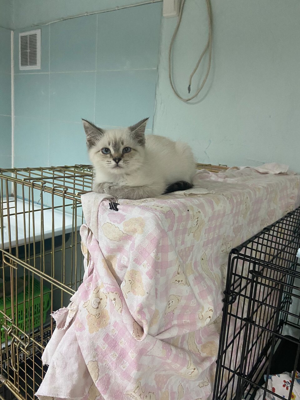 Фото клиники 5158