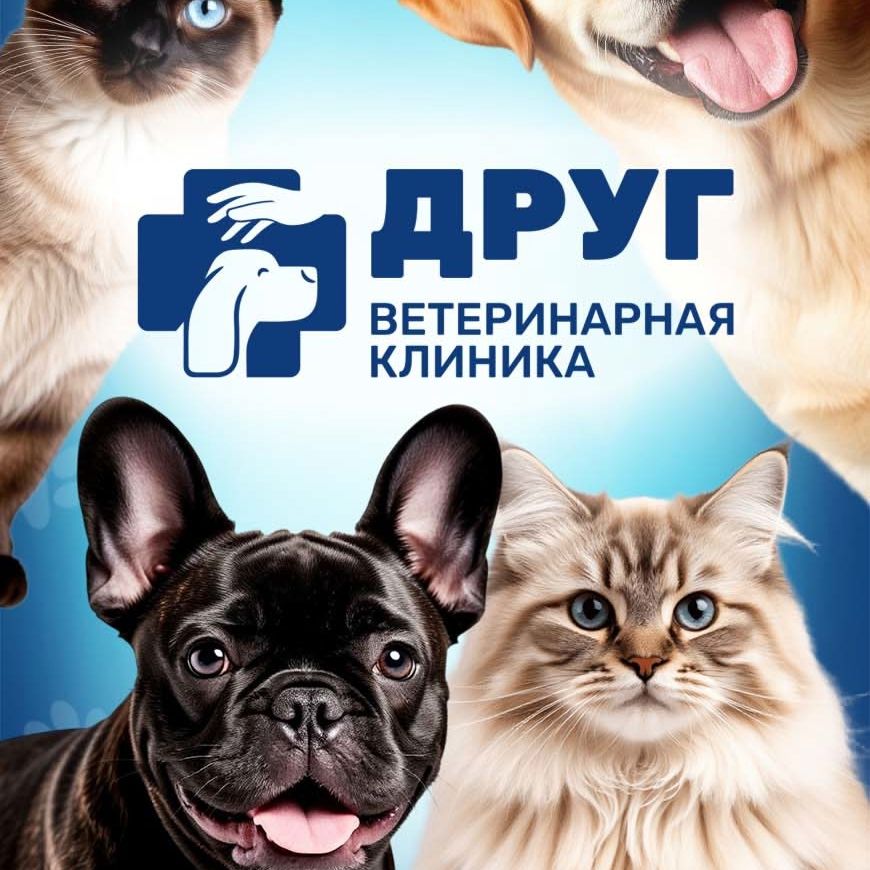 Логотип клиники