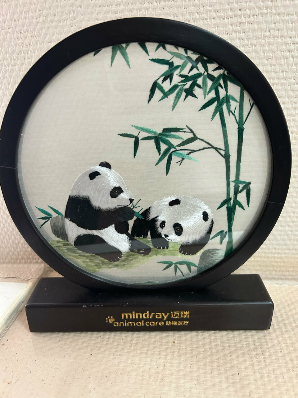 more clinic photos 76365