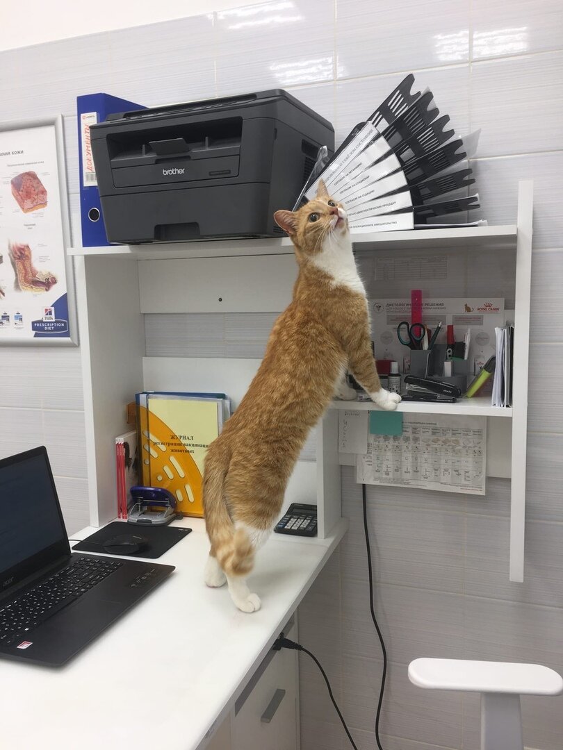 more clinic photos 1274