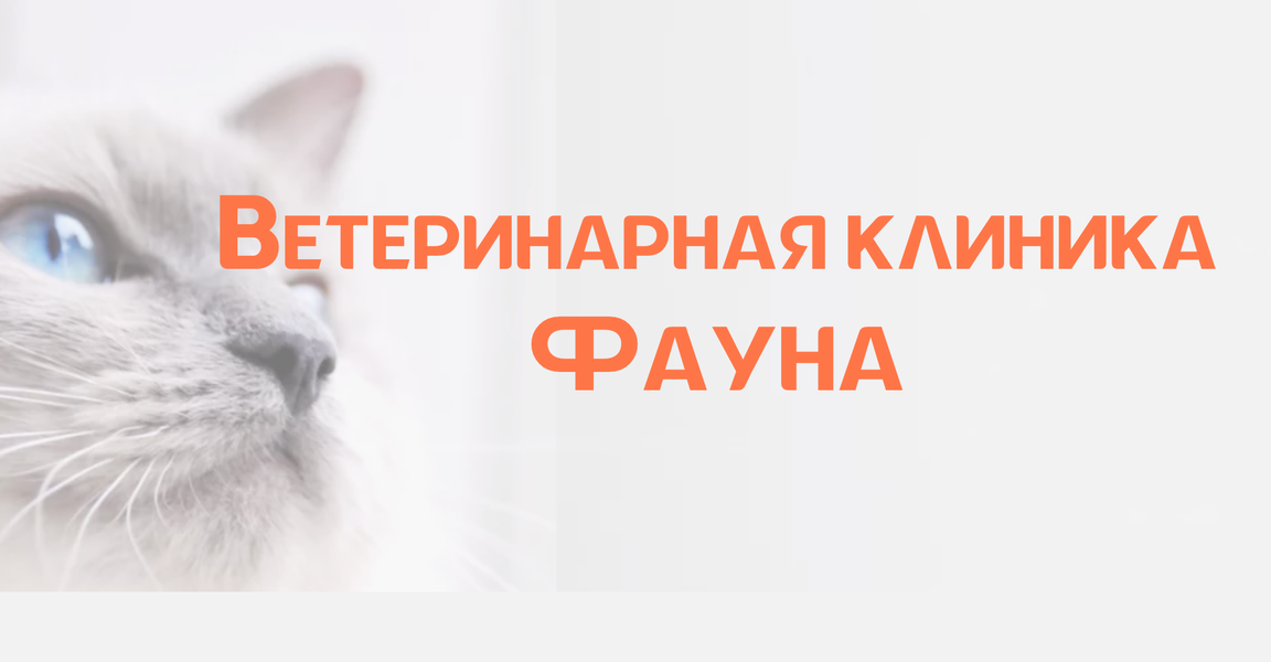 clinic general image